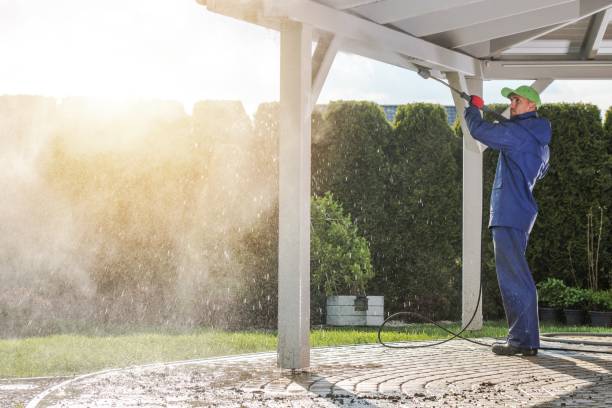 Best Soft Washing  in Tuscumbia, AL