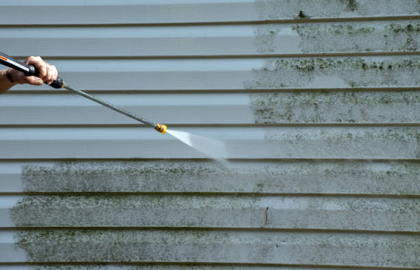 Best Gutter Cleaning  in Tuscumbia, AL